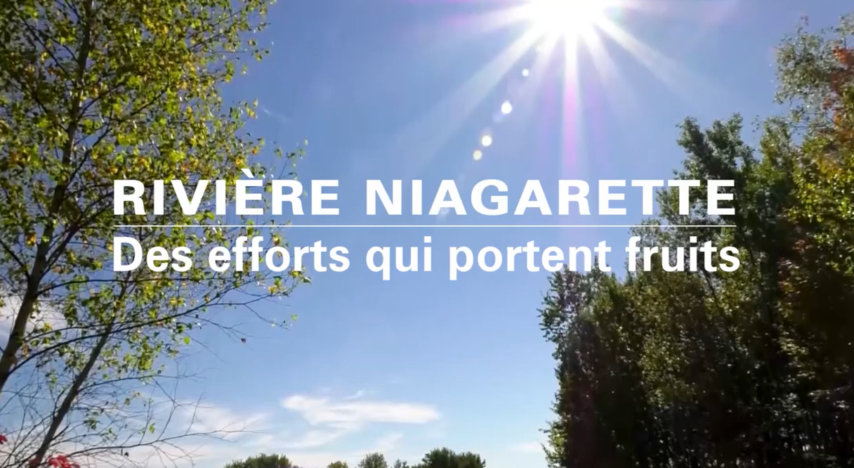 video bienfaits