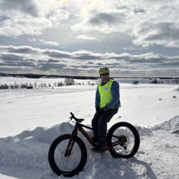 Saint-Bernard en neige